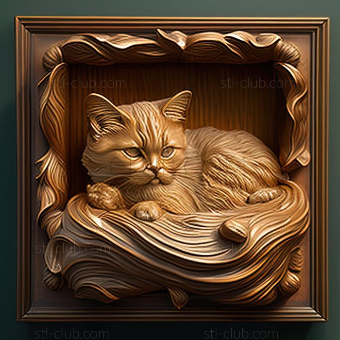 st Chantilly Tiffany cat